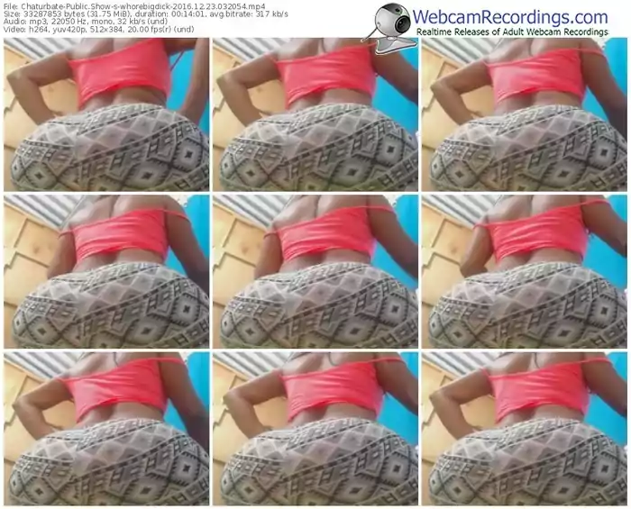 chaturbate-whorebigdick-webcam-show-12_23_2016-03_20_54