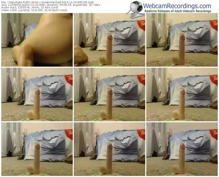 chaturbate-breakinherbad-webcam-show-12_24_2016-06_52_28