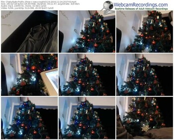 chaturbate-sexycouple2116-webcam-show-12_24_2016-20_27_43