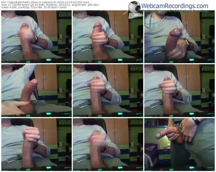 chaturbate-volpe21cm-webcam-show-12_24_2016-02_13_55