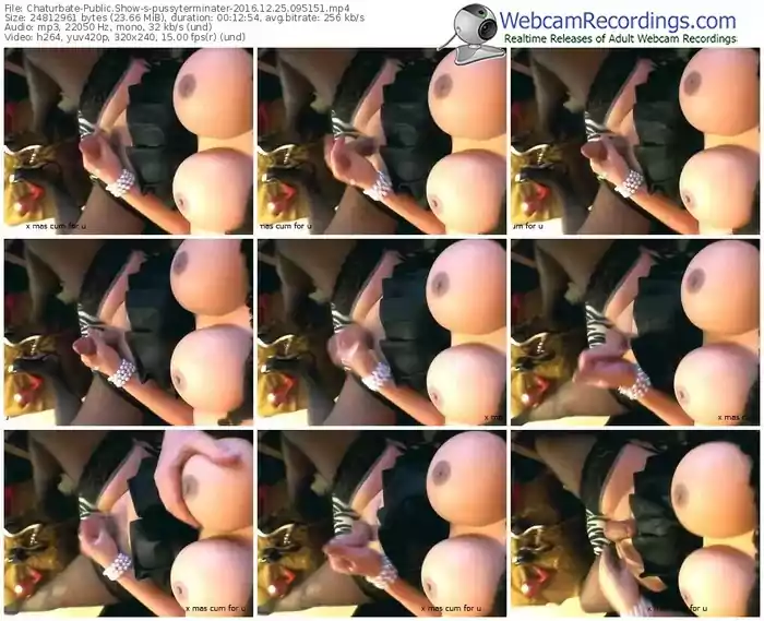chaturbate-pussyterminater-webcam-show-12_25_2016-09_51_51
