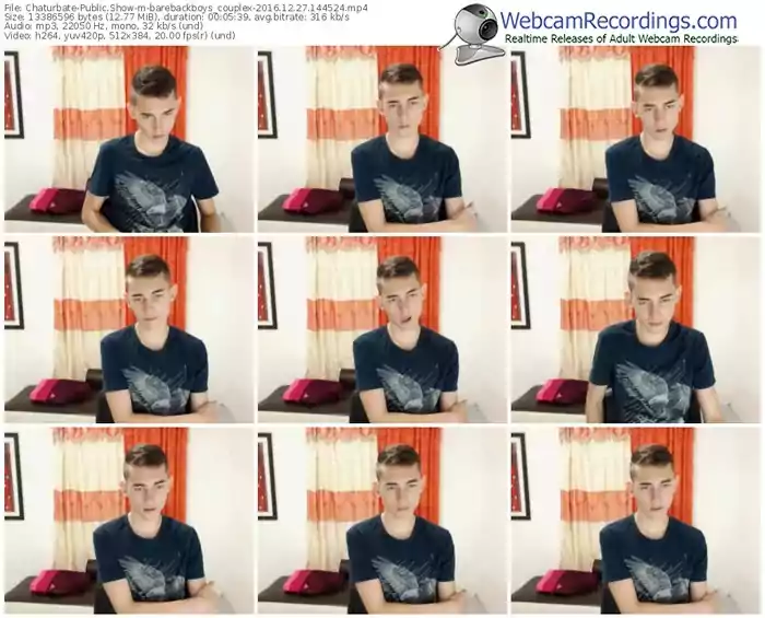 chaturbate-barebackboys_couplex-webcam-show-12_27_2016-14_45_24