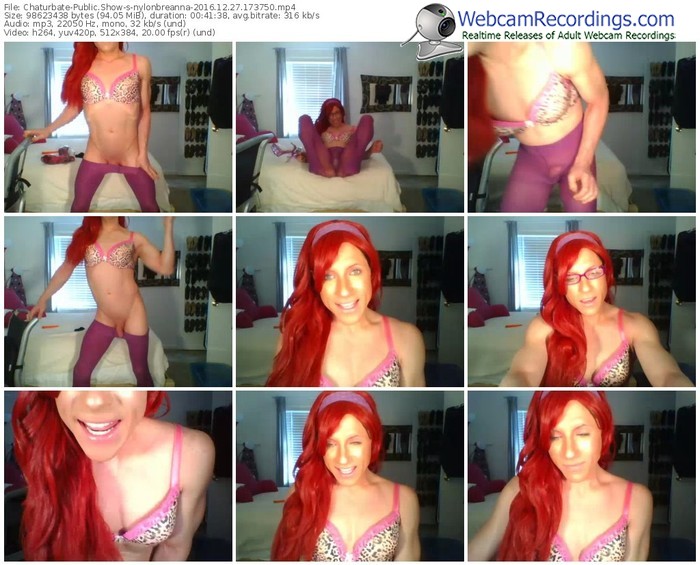 chaturbate-nylonbreanna-webcam-show-12_27_2016-17_37_50