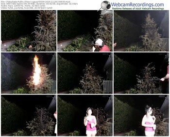 chaturbate-gaygirl0009-webcam-show-12_28_2016-23_49_30