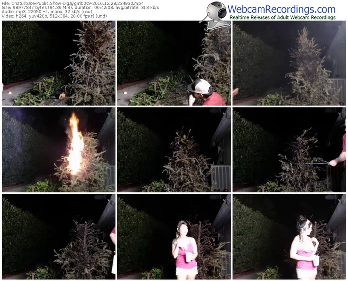 chaturbate-gaygirl0009-webcam-show-12_28_2016-23_49_30