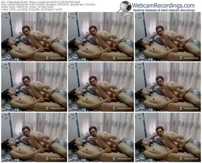 chaturbate-lovebuds-webcam-show-12_28_2016-06_14_09
