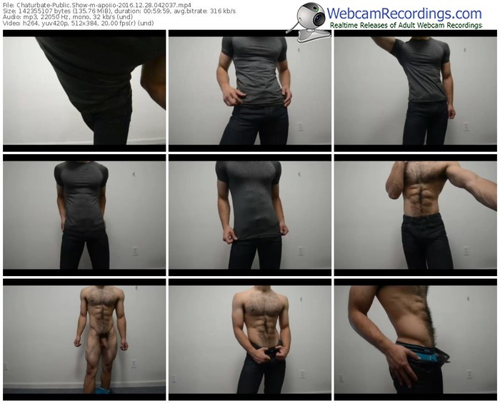 chaturbate-apoiio-webcam-show-12_28_2016-04_20_37