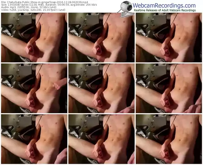 chaturbate-ginger5nap-webcam-show-12_28_2016-06_20_39