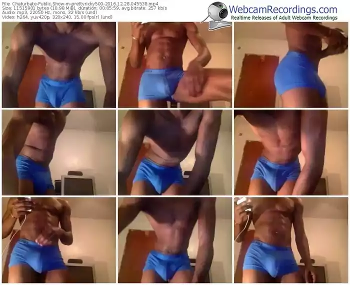 chaturbate-prettyricky500-webcam-show-12_28_2016-04_55_38