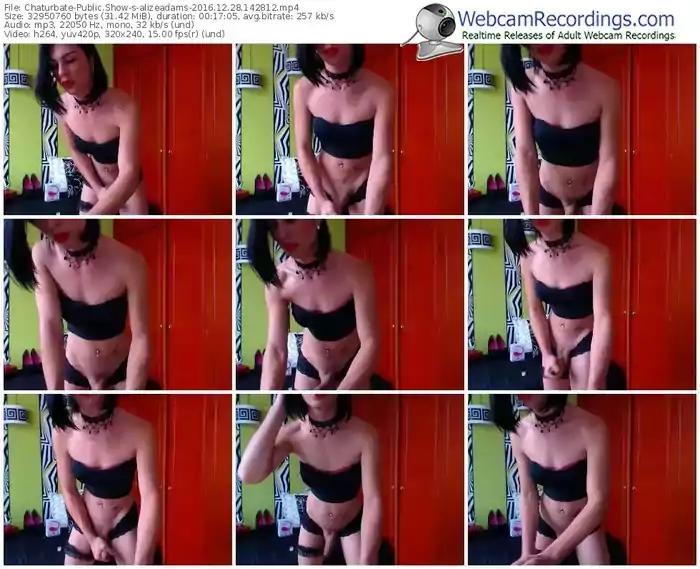 chaturbate-alizeadams-webcam-show-12_28_2016-14_28_12