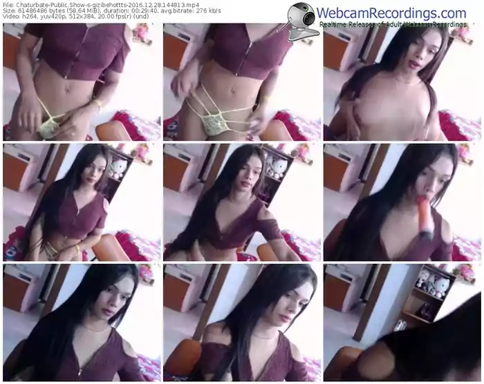 chaturbate-gizibehottts-webcam-show-12_28_2016-14_48_13