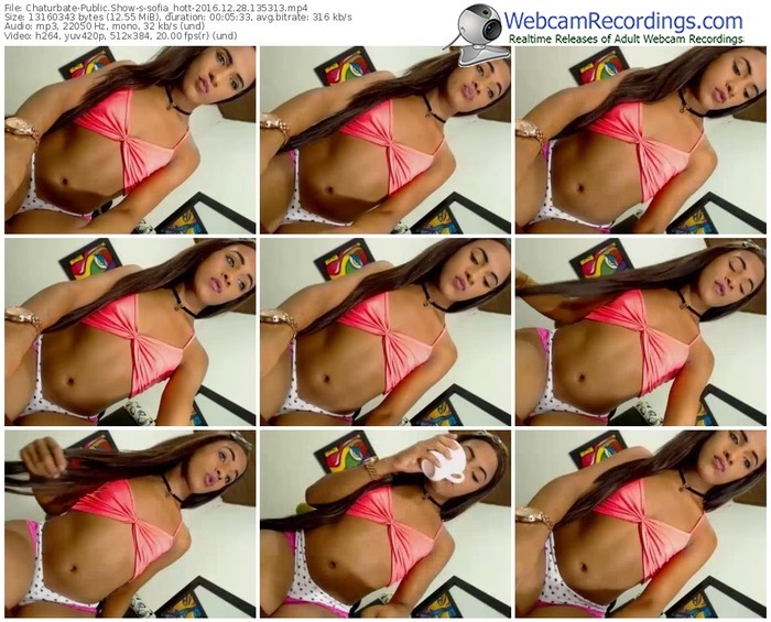 chaturbate-sofia_hott-webcam-show-12_28_2016-13_53_13
