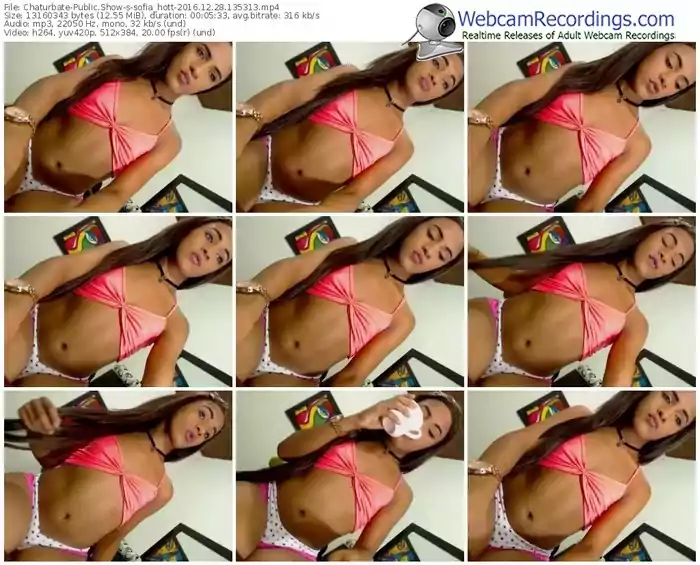 chaturbate-sofia_hott-webcam-show-12_28_2016-13_53_13