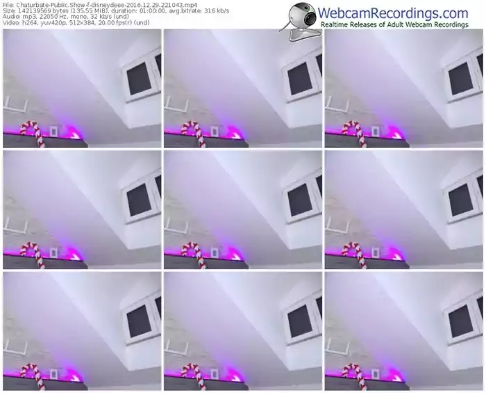 chaturbate-disneydeee-webcam-show-12_29_2016-22_10_43
