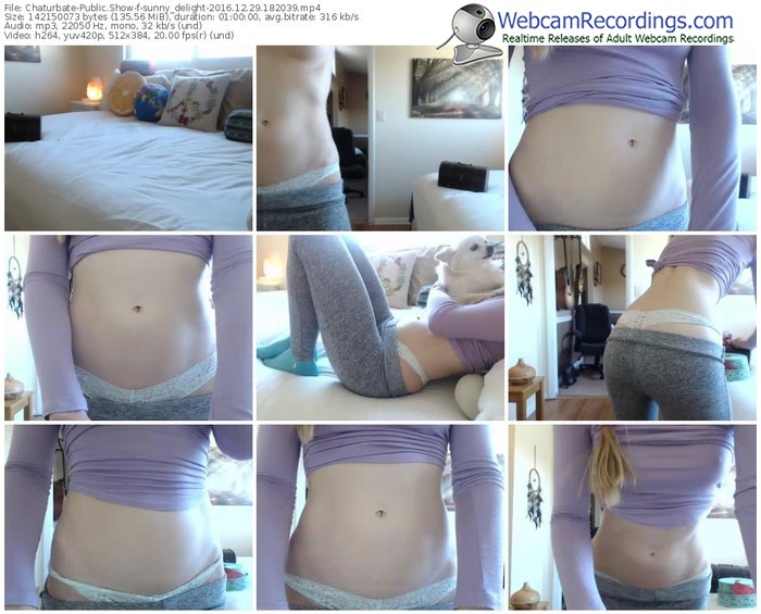 chaturbate-sunny_delight-webcam-show-12_29_2016-18_20_39
