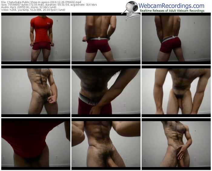 chaturbate-apoiio-webcam-show-12_29_2016-05_56_02