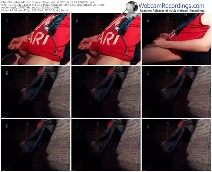 chaturbate-boycurious95-webcam-show-12_29_2016-12_01_09