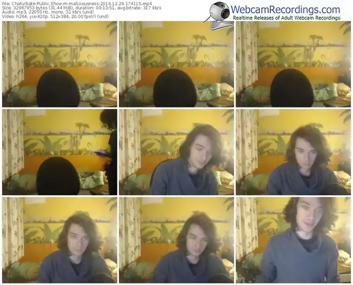 chaturbate-maliciousness-webcam-show-12_29_2016-17_41_15
