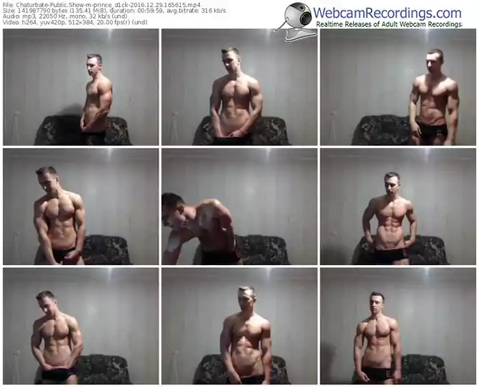 chaturbate-prince_d1ck-webcam-show-12_29_2016-16_56_15
