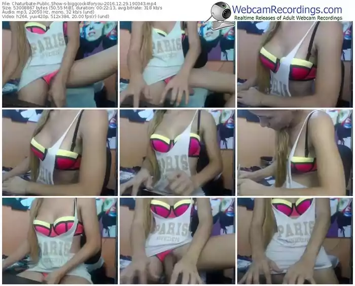 chaturbate-biggcock4foryou-webcam-show-12_29_2016-19_03_43