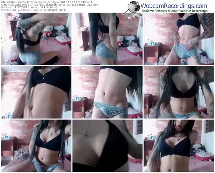 chaturbate-princesshigher-webcam-show-12_29_2016-16_18_40