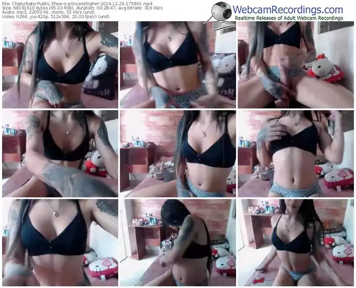 chaturbate-princesshigher-webcam-show-12_29_2016-17_58_41