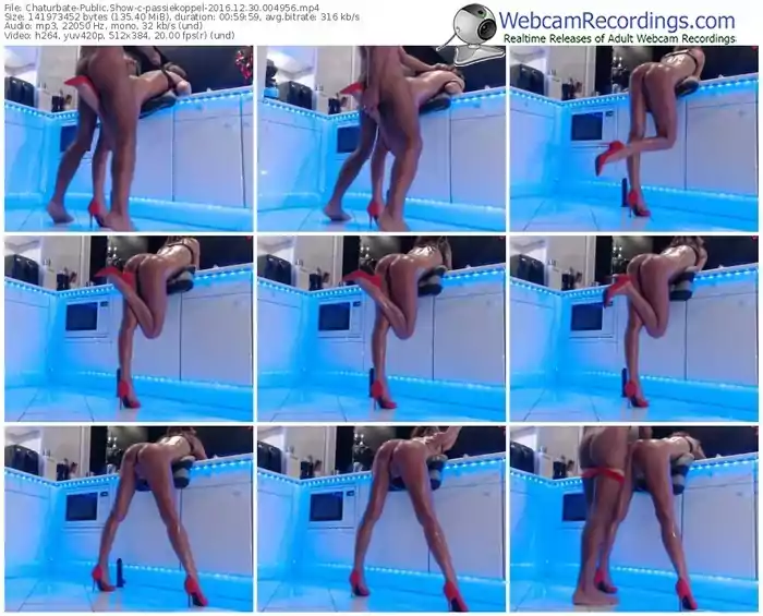 chaturbate-passiekoppel-webcam-show-12_30_2016-00_49_56