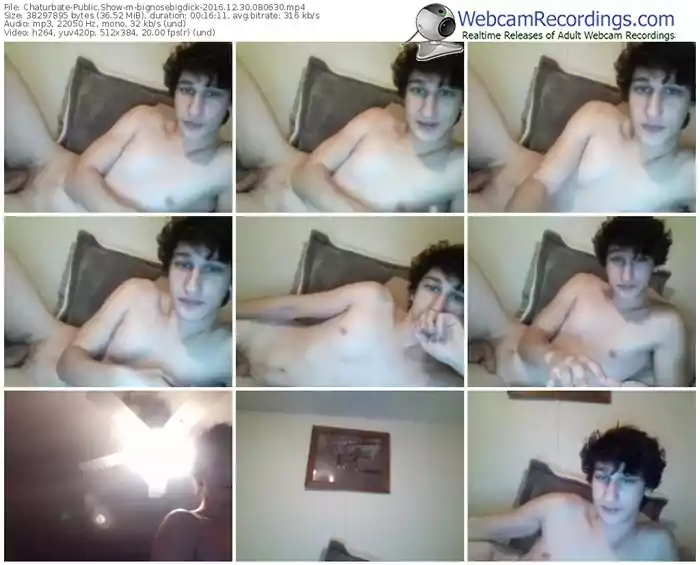 chaturbate-bignosebigdick-webcam-show-12_30_2016-08_06_30