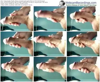 chaturbate-leakingb1gg9-webcam-show-12_30_2016-13_21_36