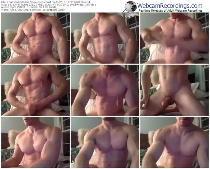 chaturbate-michaelinwdc-webcam-show-12_30_2016-07_01_30