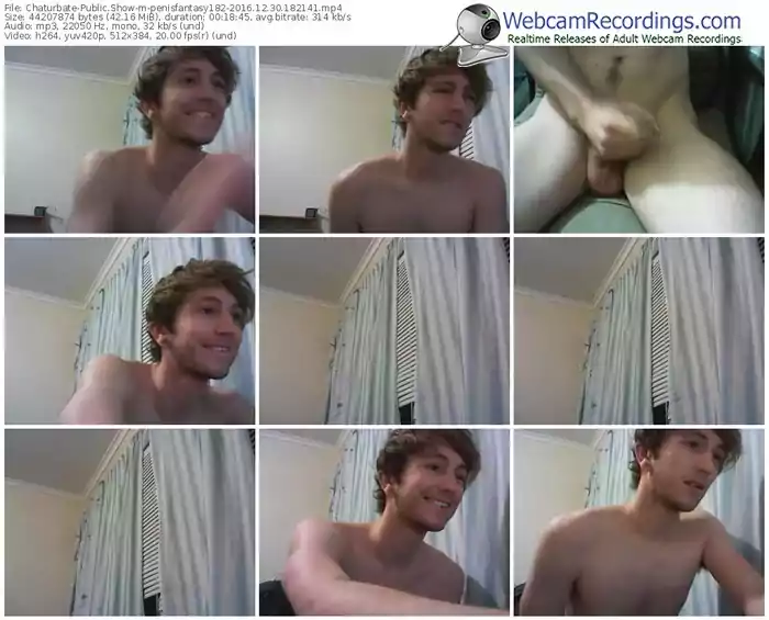 chaturbate-penisfantasy182-webcam-show-12_30_2016-18_21_41