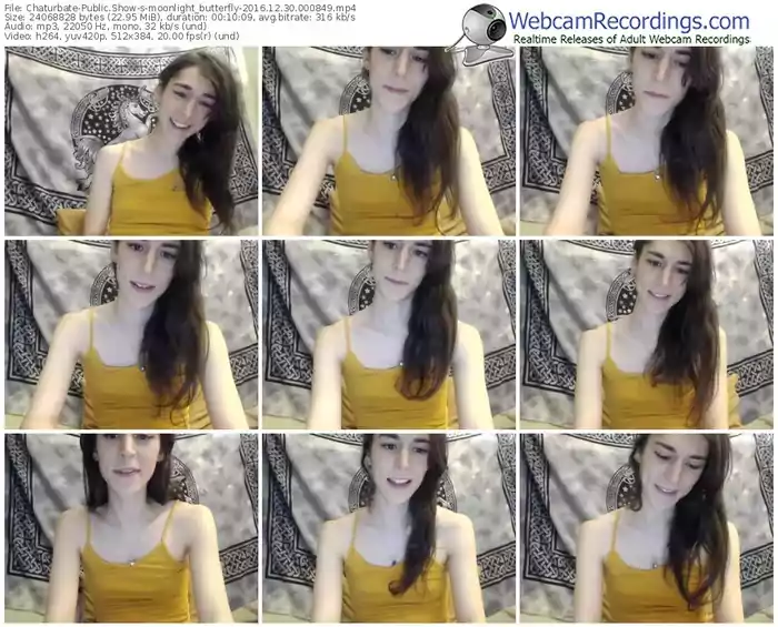 chaturbate-moonlight_butterfly-webcam-show-12_30_2016-00_08_49