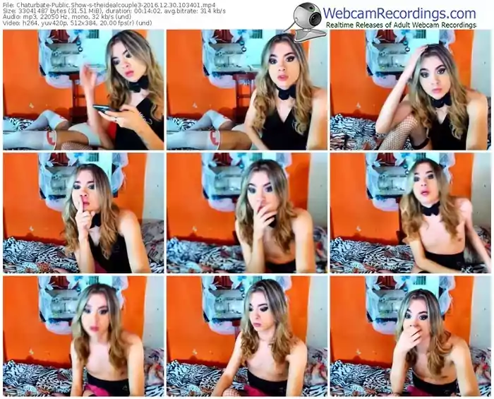 chaturbate-theidealcouple3-webcam-show-12_30_2016-10_34_01