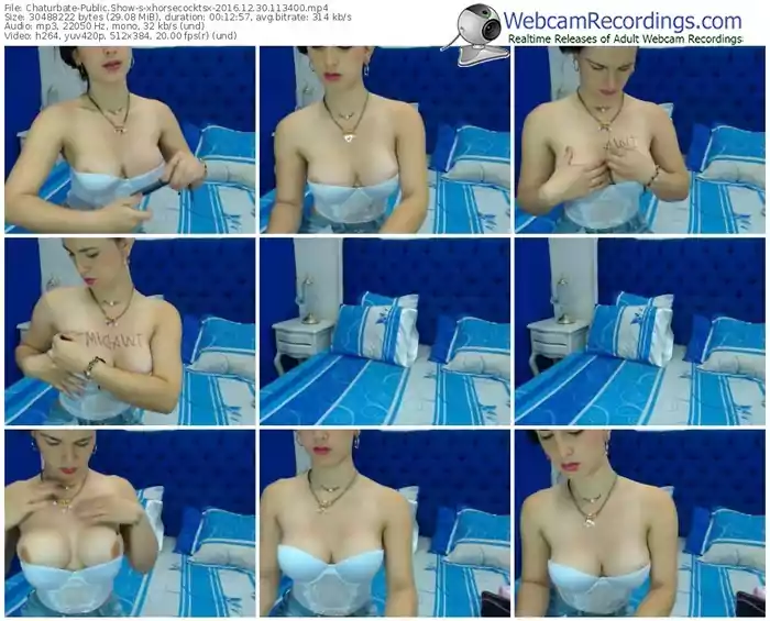 chaturbate-xhorsecocktsx-webcam-show-12_30_2016-11_34_00