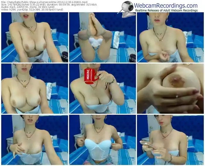 chaturbate-xhorsecocktsx-webcam-show-12_30_2016-12_04_01