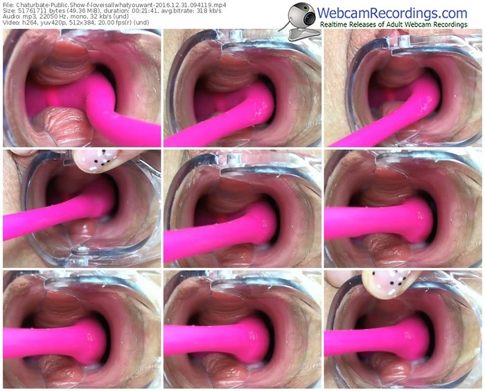 chaturbate-loveisallwhatyouwant-webcam-show-12_31_2016-09_41_19