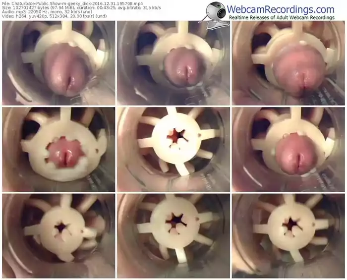 chaturbate-geeky_dick-webcam-show-12_31_2016-19_57_08
