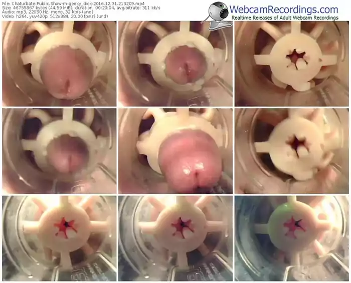 chaturbate-geeky_dick-webcam-show-12_31_2016-21_32_09