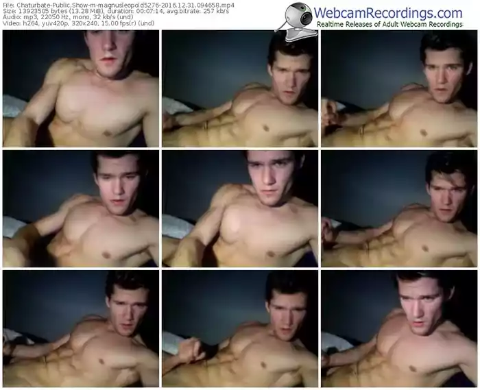 chaturbate-magnusleopold5276-webcam-show-12_31_2016-09_46_58