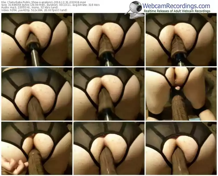 chaturbate-analpro1-webcam-show-12_31_2016-03_29_18