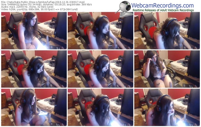 chaturbate-femboyfurfag-webcam-show-12_31_2016-03_09_17