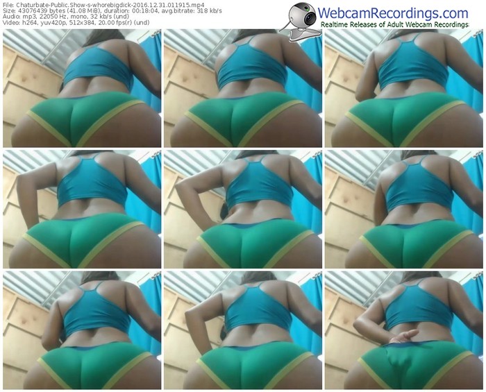 chaturbate-whorebigdick-webcam-show-12_31_2016-01_19_15