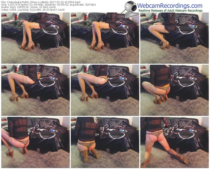 chaturbate-cdkelly-webcam-show-01_02_2017-01_25_04