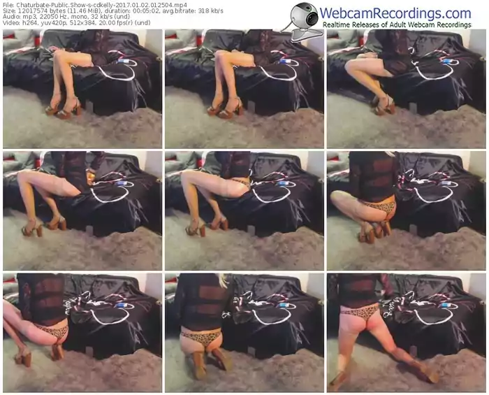 chaturbate-cdkelly-webcam-show-01_02_2017-01_25_04