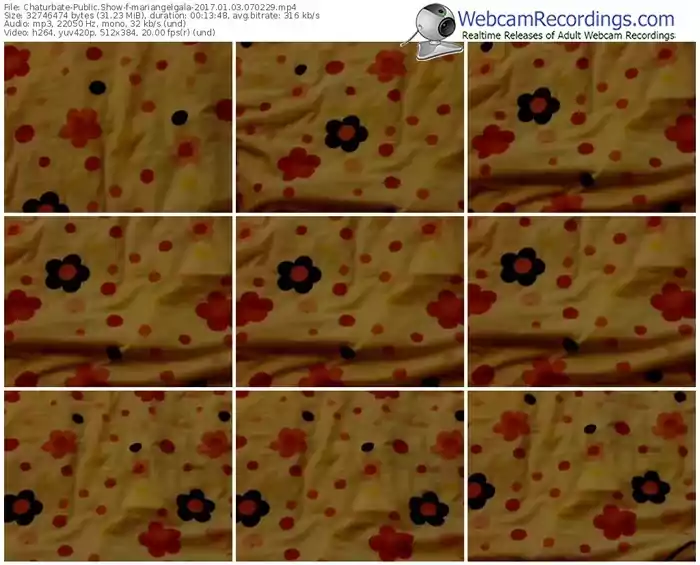 chaturbate-mariangelgala-webcam-show-01_03_2017-07_02_29