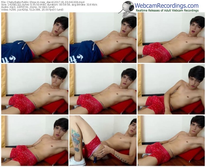 chaturbate-new_david-webcam-show-01_03_2017-04_13_06