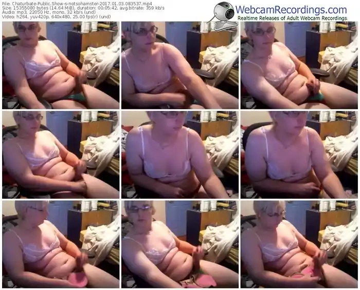 chaturbate-notsohamster-webcam-show-01_03_2017-08_35_37