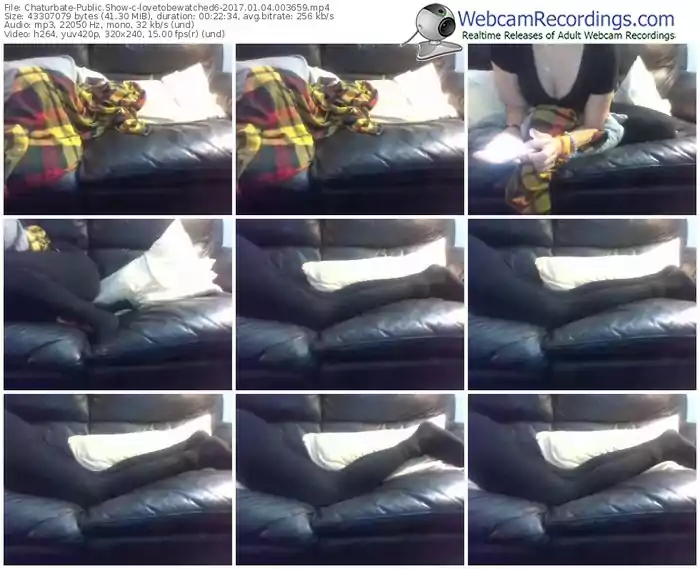 chaturbate-lovetobewatched6-webcam-show-01_04_2017-00_36_59