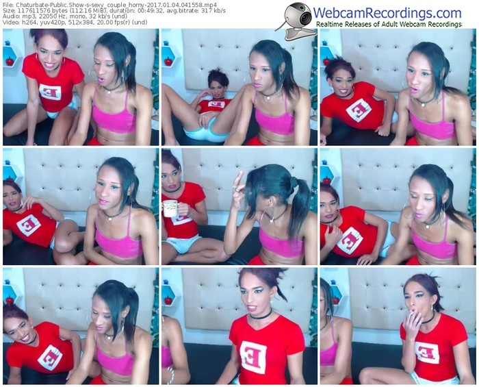 chaturbate-sexy_couple_horny-webcam-show-01_04_2017-04_15_58