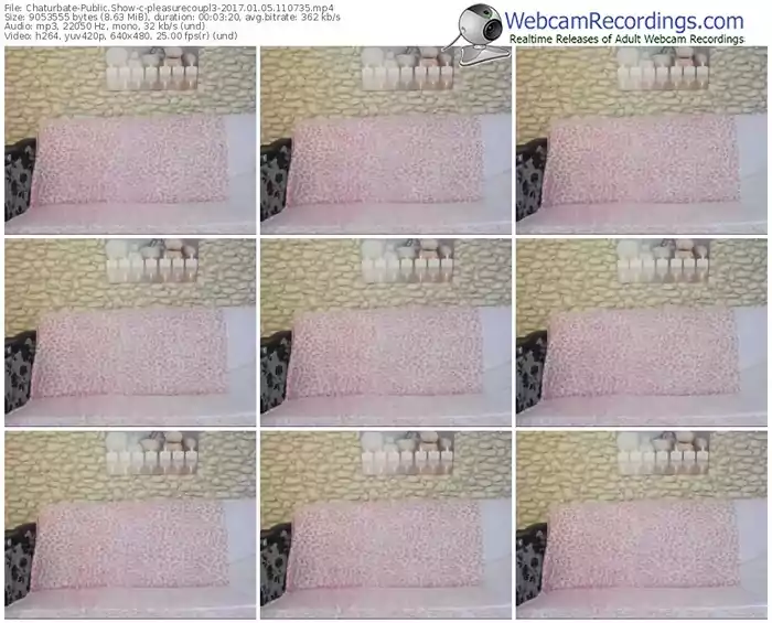 chaturbate-pleasurecoupl3-webcam-show-01_05_2017-11_07_35